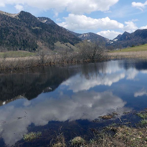 kaiserwinkl-wasserspiegelung