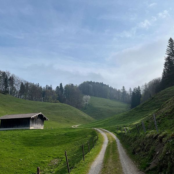 klobenstein-taubensee-ra-6-1