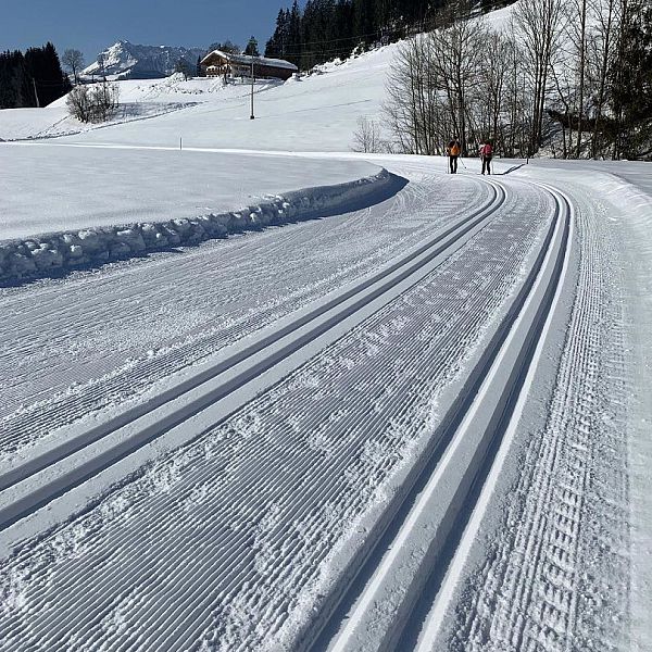 langlauf-klassisch-foto-flechtner012