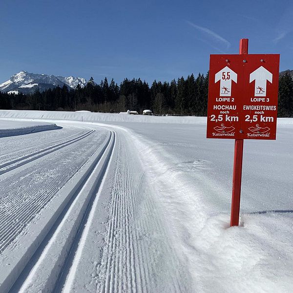 langlauf-klassisch-foto-flechtner020