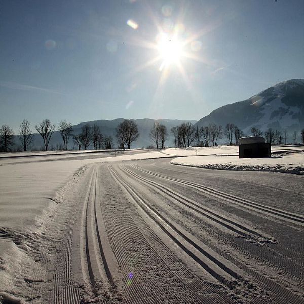 langlauf-skating-foto-flechtner001