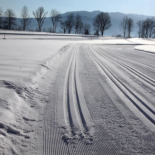 langlauf-skating-foto-flechtner002