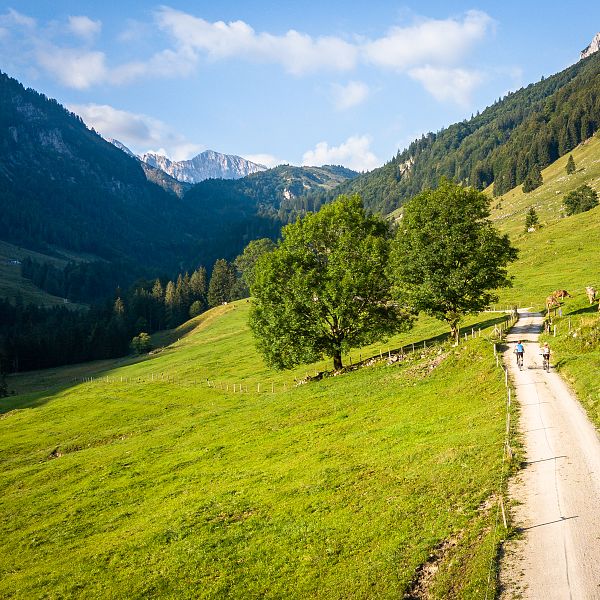 mountainbike-kaiserwinkl-habersauertal5