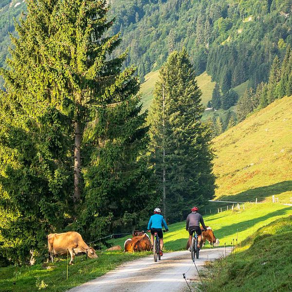 mtb-habersauertal2-rosskaiser