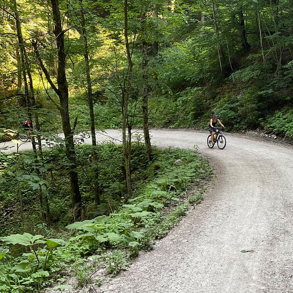 naringalm-1-wald-fahrrad-frau