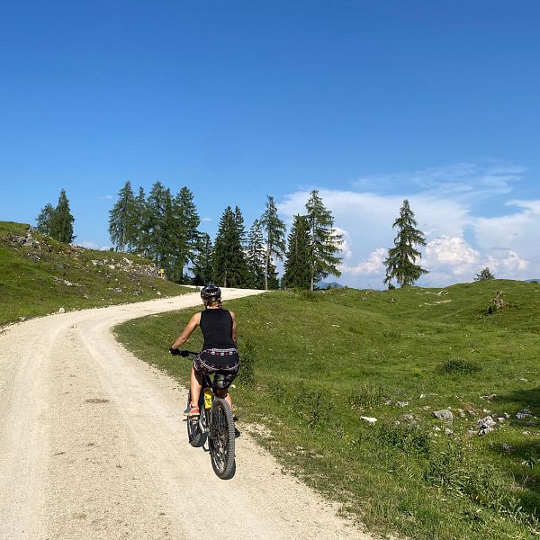 naringalm-2-fahrrad-frau-strasse