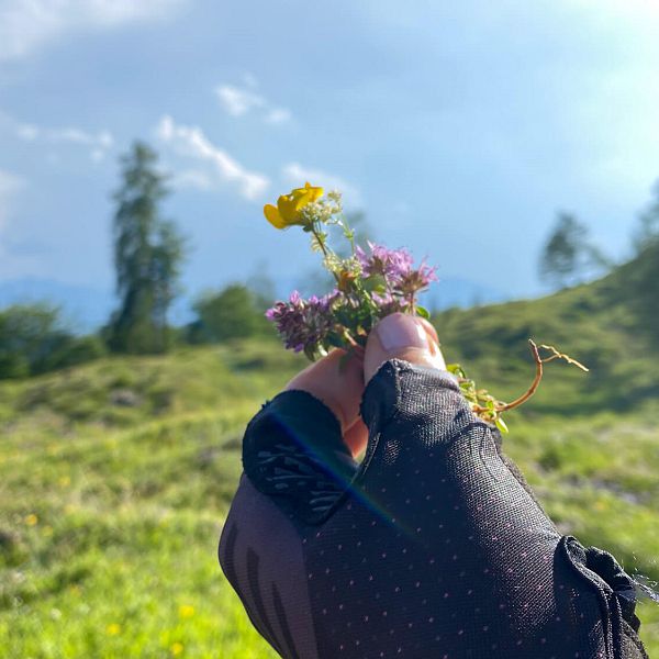 naringalm-3-handschuhe-blume