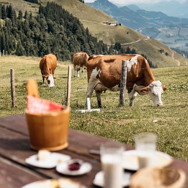 ourtravelness-burgeralm-5