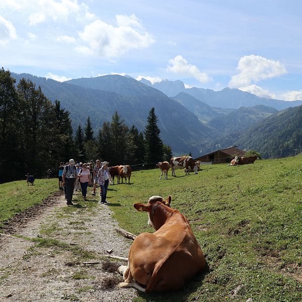 promiwanderung-mit-felix-neureuther