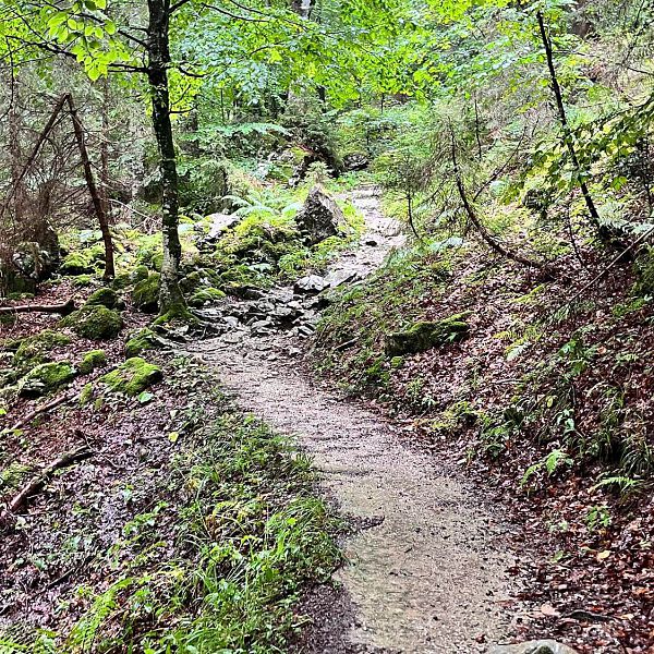 regenwanderung-wasserfall-aigner-16