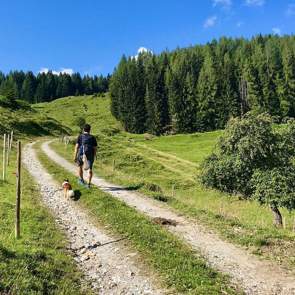 scheibenkogel-kaiserwinkl-2