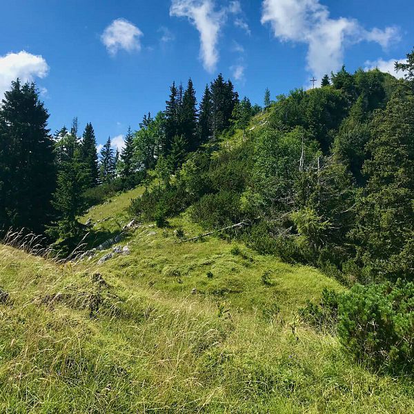 scheibenkogel-kaiserwinkl-6