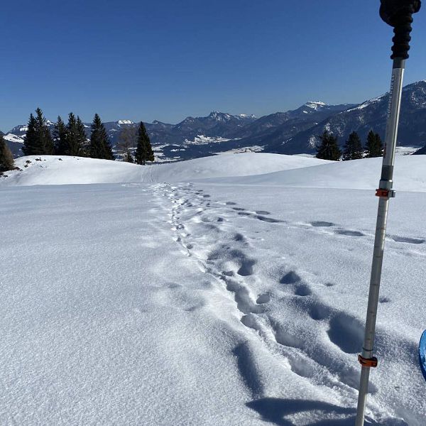 schneeschuhwanderung-aigner-14