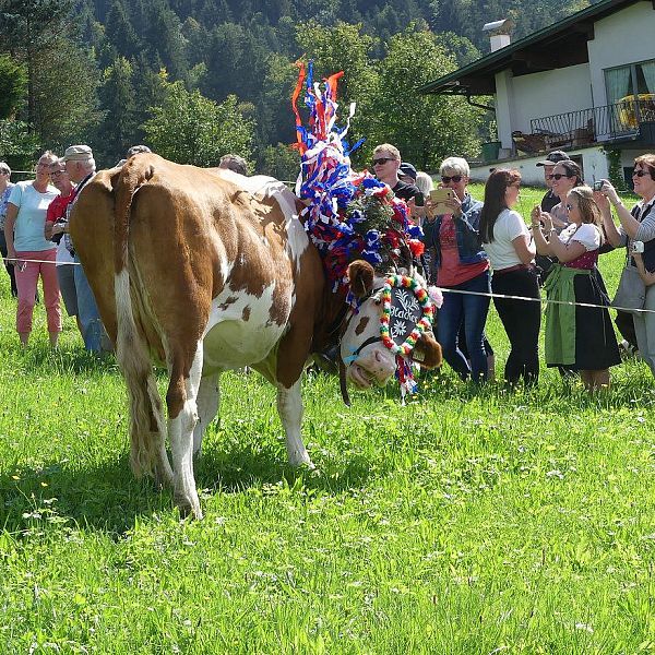 schwendt-genussfest