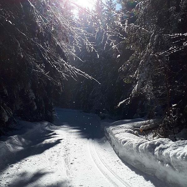 sonne-im-kaiserwinkl