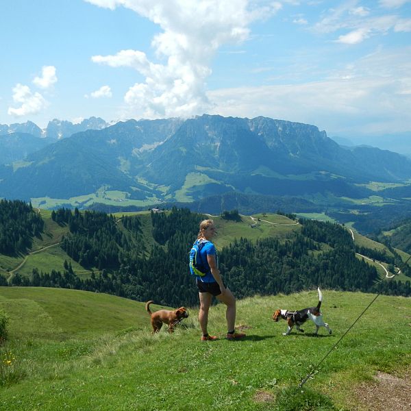 wandern-mit-hund-4