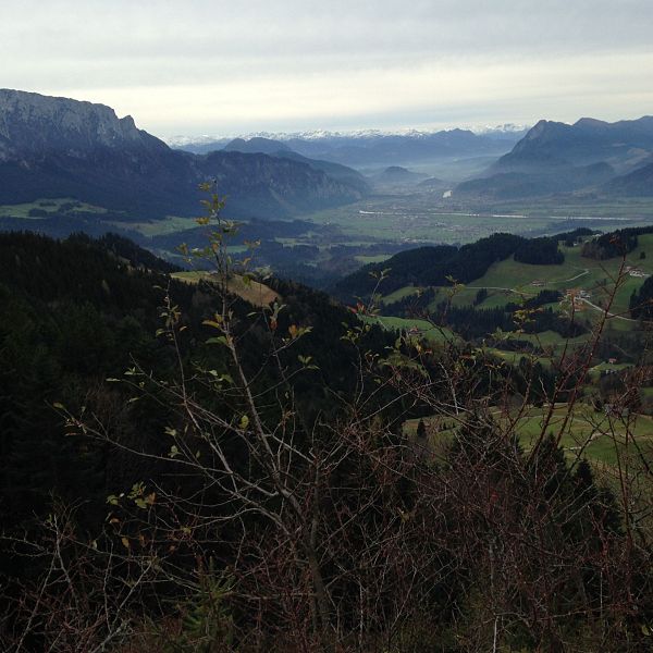 wandern-mit-hund-aussicht-staudinger-kreuz