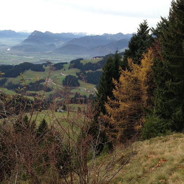 wandern-mit-hund-karspitz