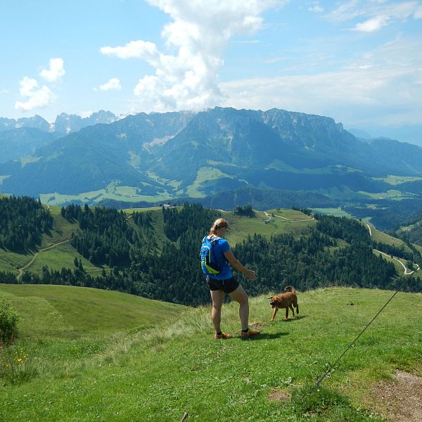 wandern-mit-hund-luggi-am-wandberg