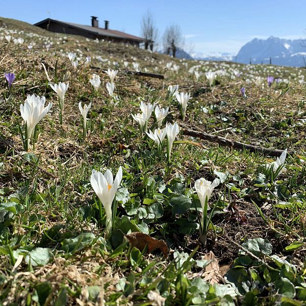 wanderung-taubensee-foto-flechtner014