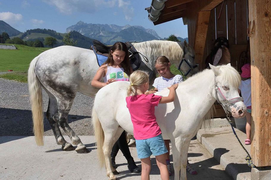 caroline-fellinger-unterhofstaett-ballsberger-Familie6