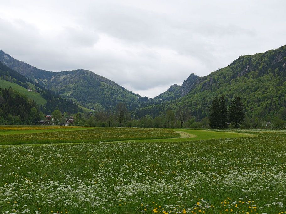 Naturlandschaft im Kaiserwinkl