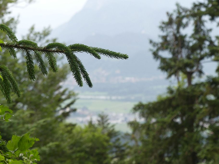 andi-gruhle-taubenseehuette-aufstieg-sonnwendkoepfl