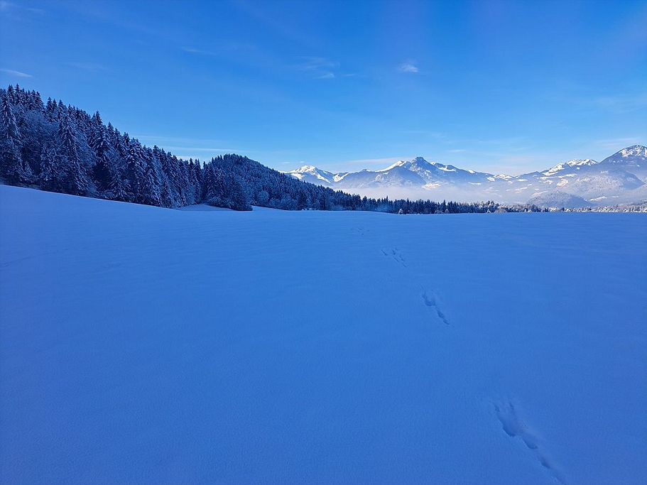 nicola-kogler-hatha-yoga-walchsee-nicola