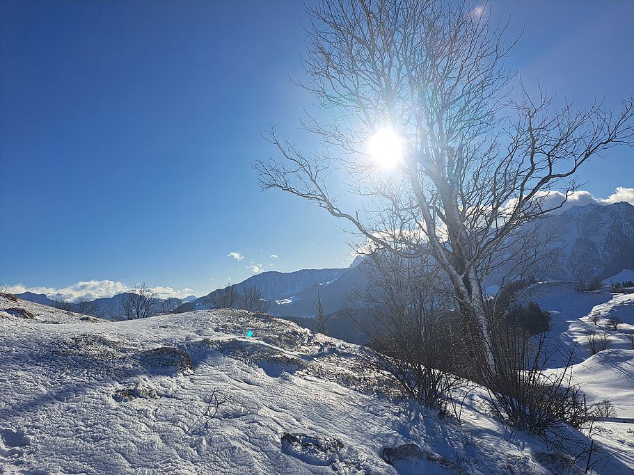 Kaiserwinkl_MiriamWagner_Winterwanderung_04