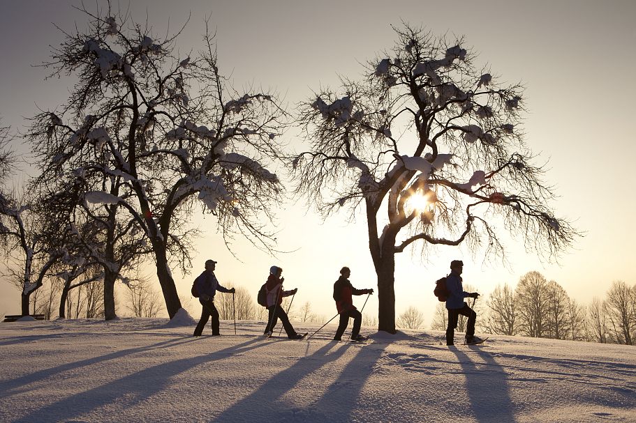 Kaiserwinkl, Urlaub, Winter, Schneeschuhwandern