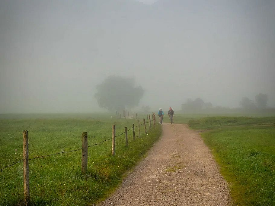 mtb_habersauertal1_nebel