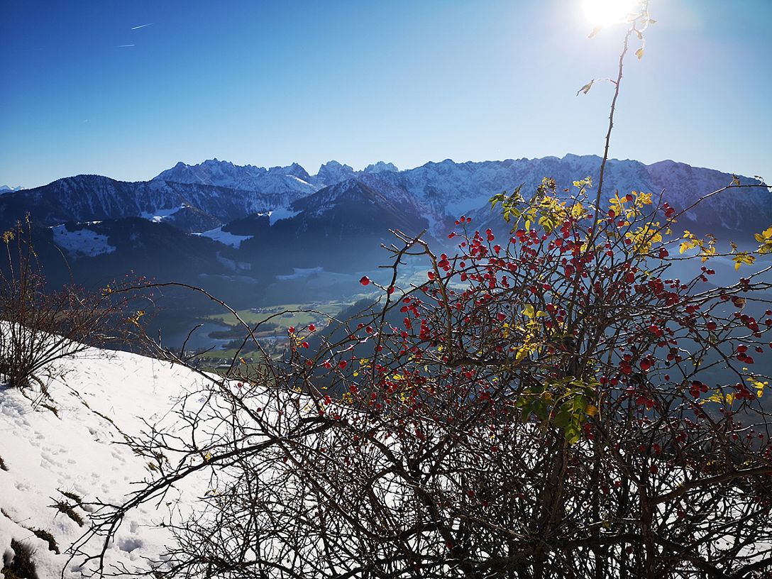 kaiserwinkl-lena-schindler-wanderen-im-frühling-14-wandern-im-fruehling