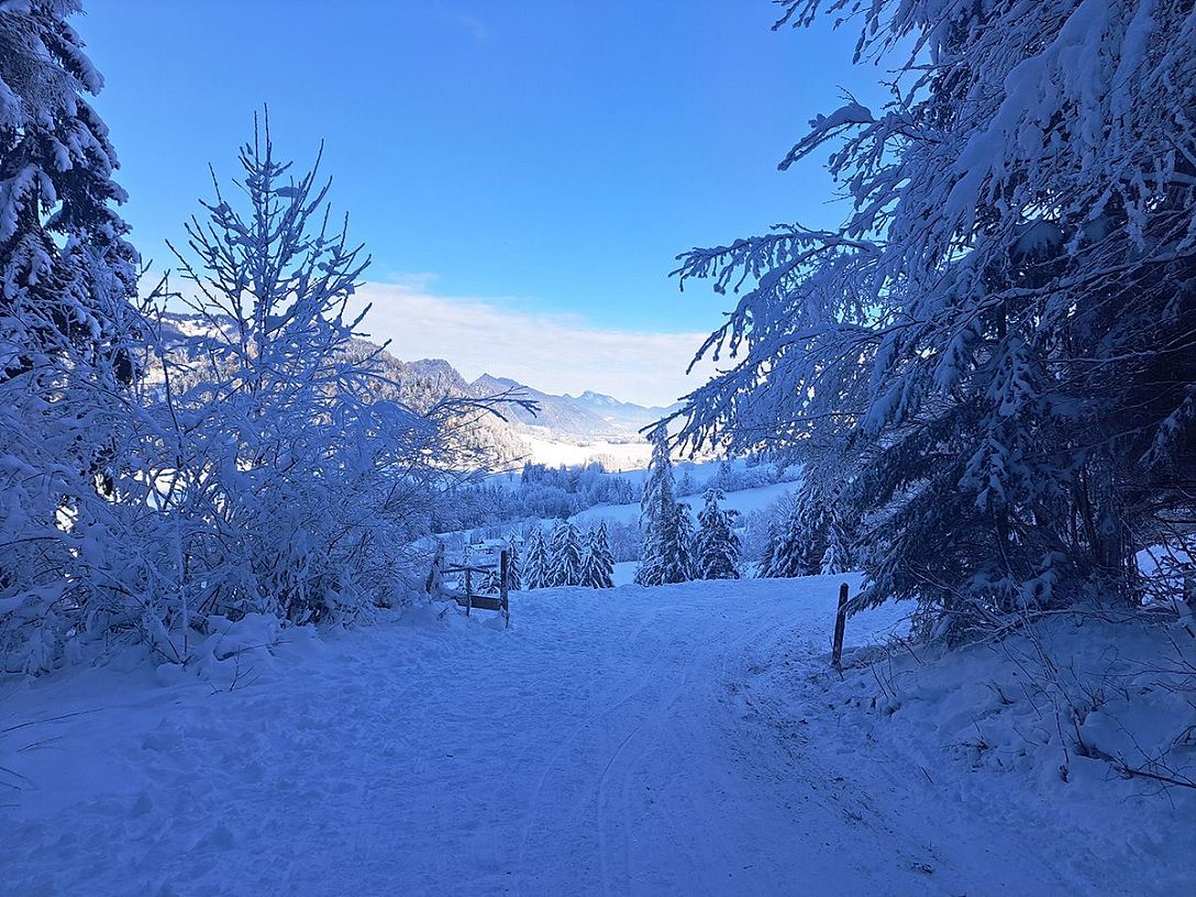 Kaiserwinkl Magazin-Winterwanderung mit Rodelspaß (7)