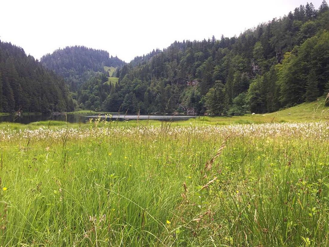 Taubensee, Kaiserwinkl