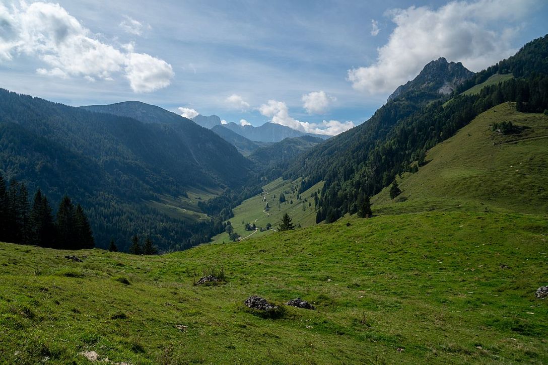 Richtung Feldalm, Hochalm im Kaiserwinkl