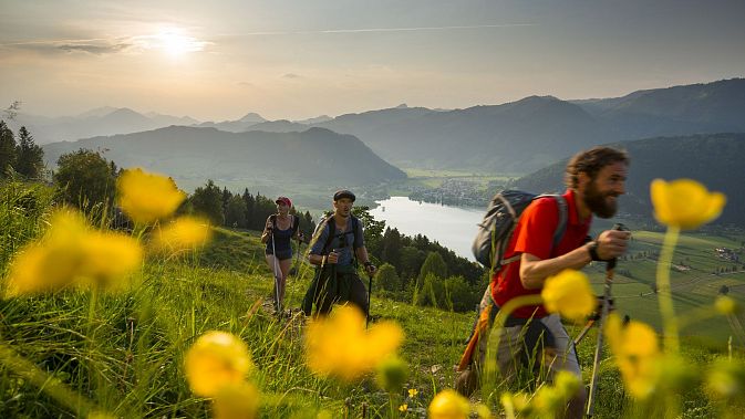 hd-kaiserwinkl-urlaub-aktivitaeten-wandern-walchsee-sommer-sommerwandern-6