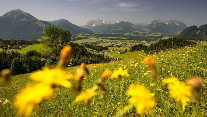 kaiserwinkl-ort-koessen-im-sommer