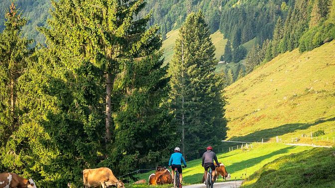 mtb-habersauertal2-rosskaiser