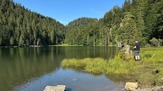 Fischen am Taubensee