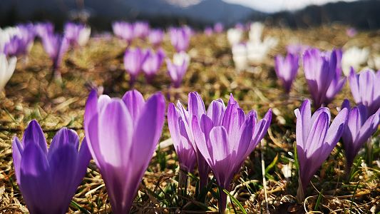 Wandern im Frühling