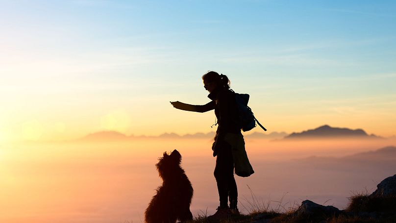 spielender-hund-berge